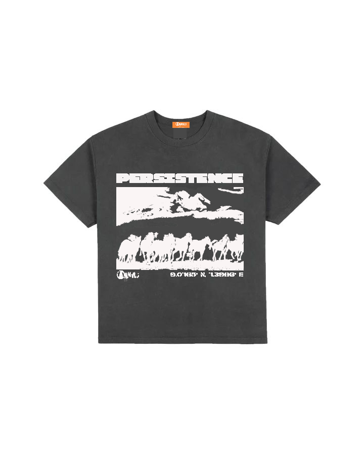ANMVLS PERSISTENCE TSHIRT